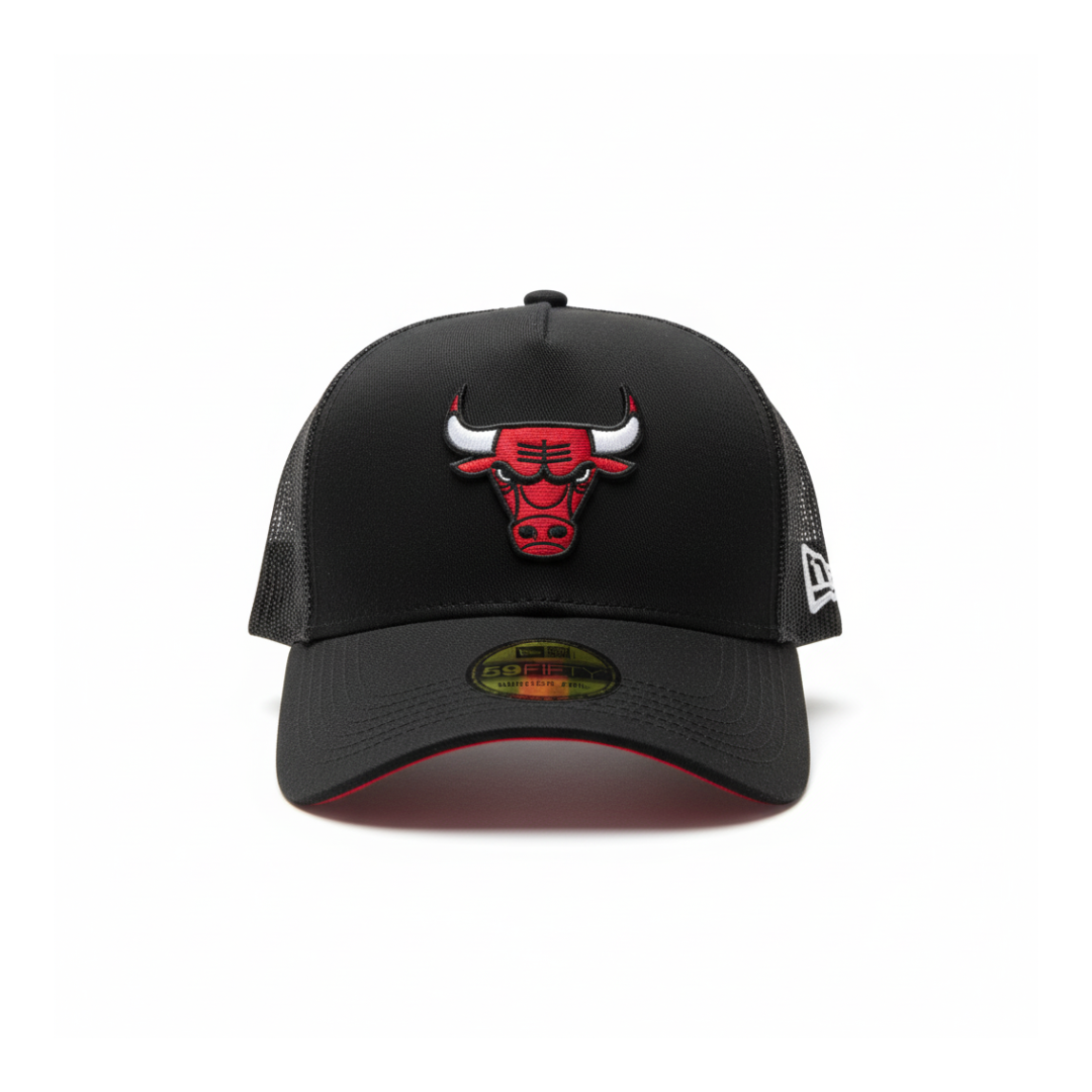 Trucker Chicago Bulls
