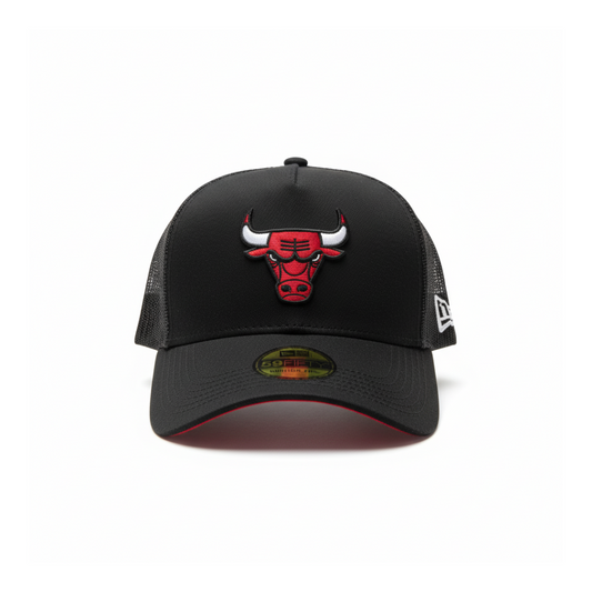 Trucker Chicago Bulls