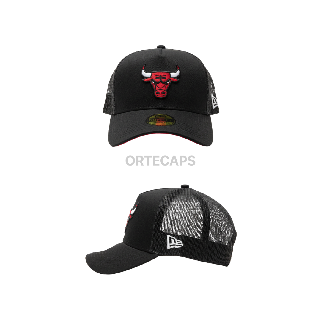 Trucker Chicago Bulls